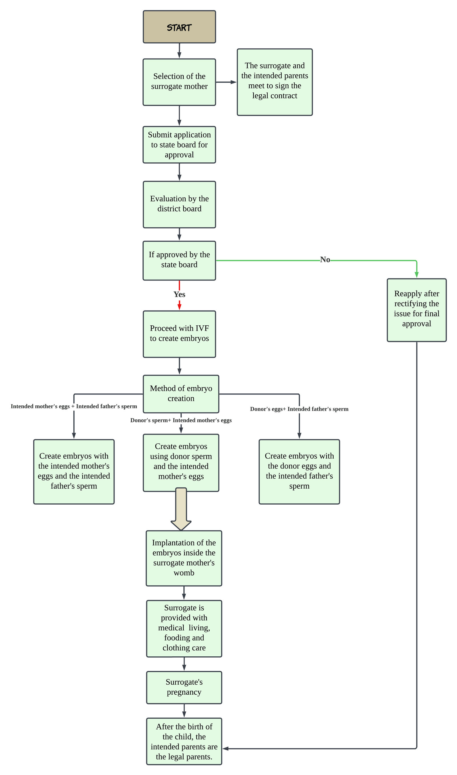 surrogacy process in india image