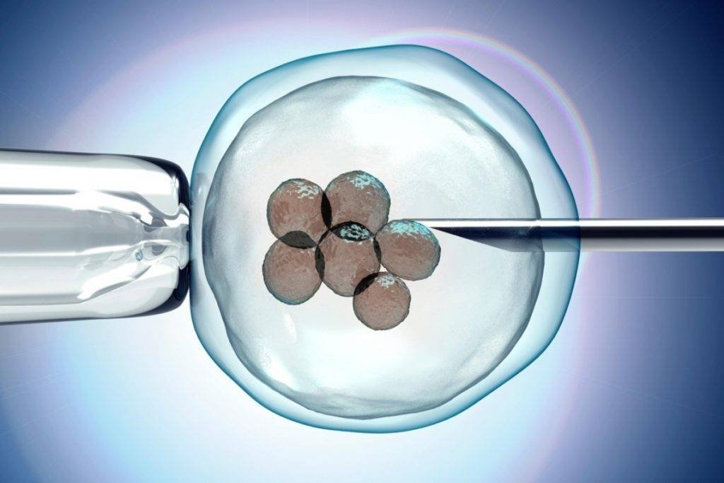 ivf-programs-vinsfertility