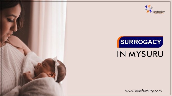 Tes Surrogay Sex - Surrogacy Cost in Mysore: Surrogate Mother Cost in Mysore, Low-cost  Surrogacy Centres in Mysore - Vinsfertility.com